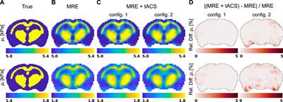 Simulation of a synchronized methodology for MR-based electromechanical property imaging during transcranial electrical stimulation